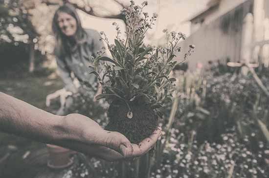 10 Reasons to Start Gardening With Your Partner